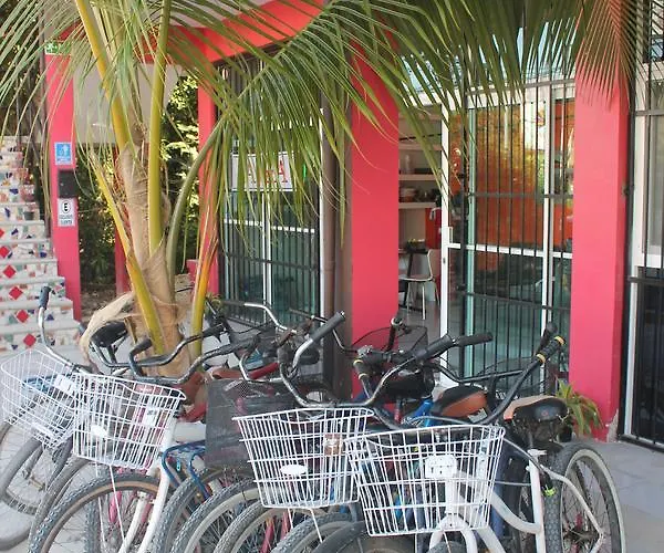 Casaia